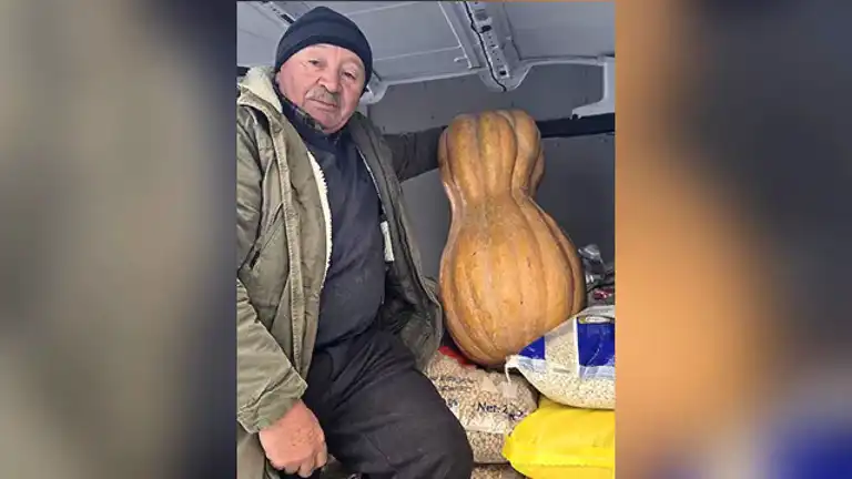 Sinop'ta Dev Bal Kabağı: 55 Kilo!